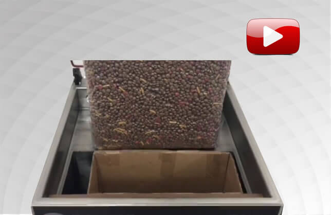 Embaladora de Castanhas do Pará