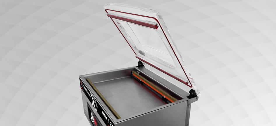 Máquina a Vácuo Modelo WV 170